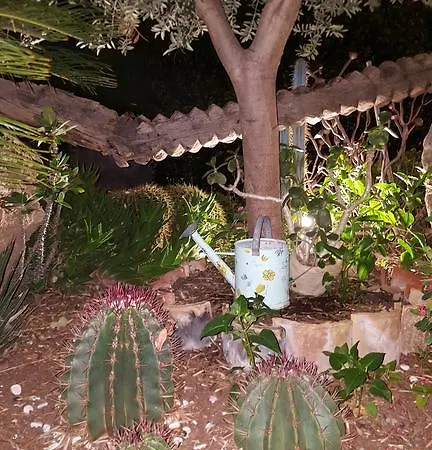Margherita Cefalu